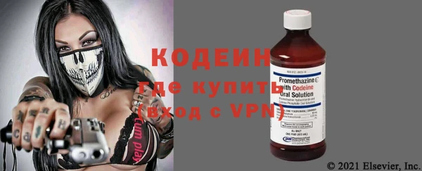 амф Вяземский