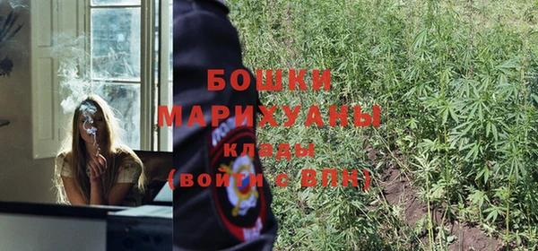 амф Вяземский