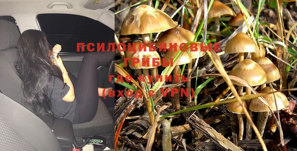 амф Вяземский