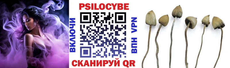 мега сайт  Егорьевск  Галлюциногенные грибы прущие грибы 